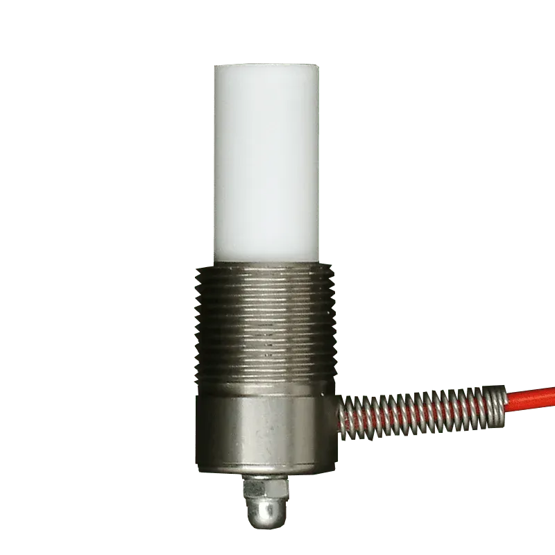 RECHNER KFS-51-5-30-7-PTFE/VAb-D16-M22 sonde niveau capacitive
